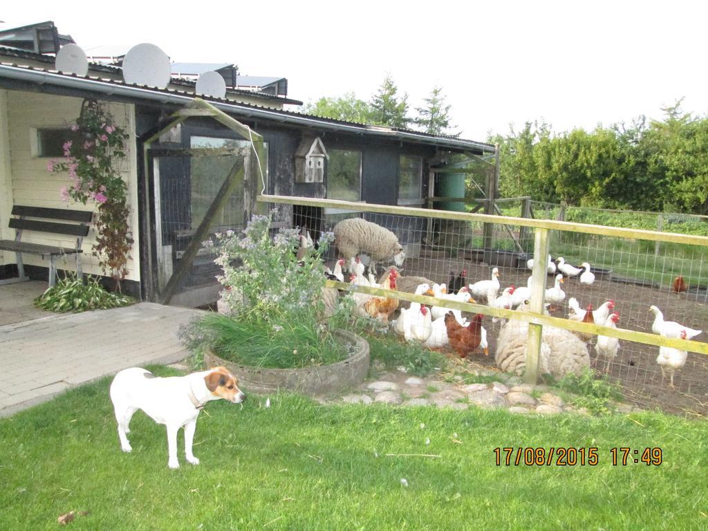 Bakkegarden Homestay Spottrup Exteriér fotografie